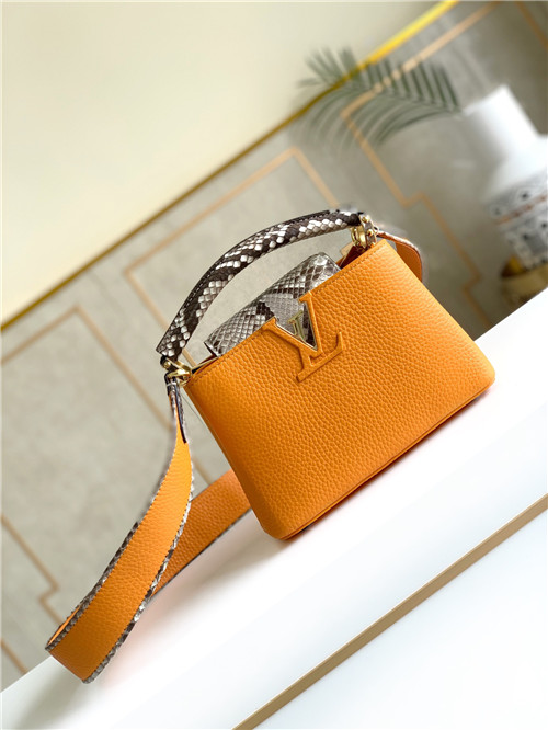 louis vuitton lv capucines mini bag