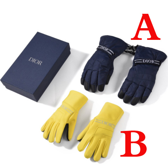 Dior Ski Gloves With 'DIOR' Band